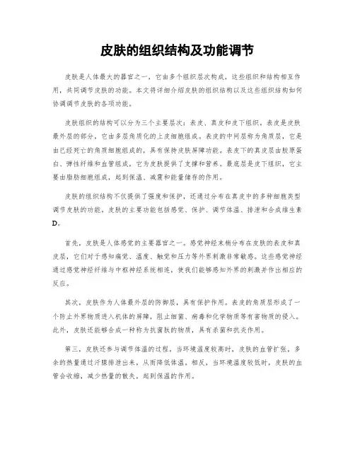皮肤的组织结构及功能调节
