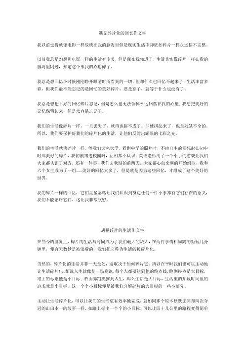 遇见碎片的生活作文800字