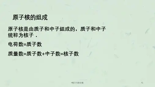 核力与结合能课件