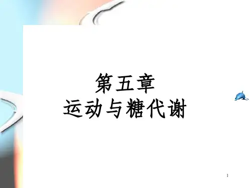 运动生物化学第05章运动与糖代谢_OK
