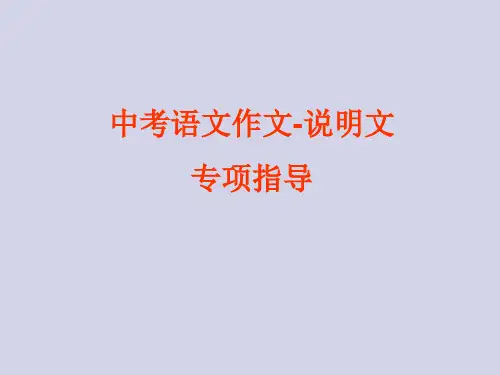 中考语文作文-说明文专项指导