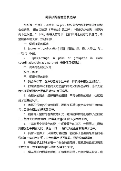 词语搭配的意思及造句