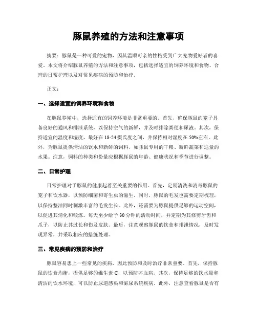 豚鼠养殖的方法和注意事项