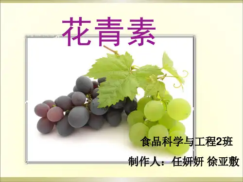 花青素