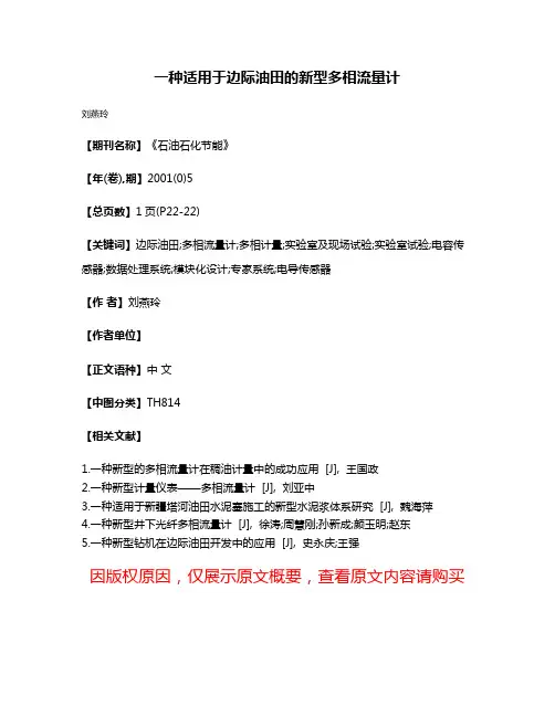 一种适用于边际油田的新型多相流量计