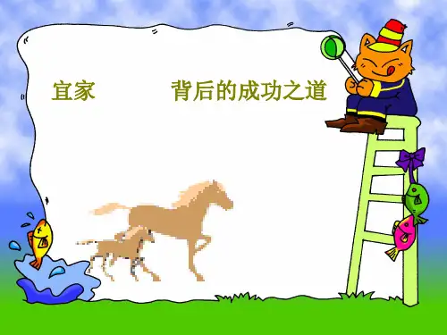 宜家            背后的成功之道共19页PPT