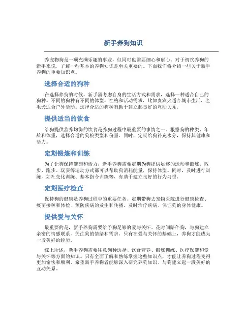 新手养狗知识