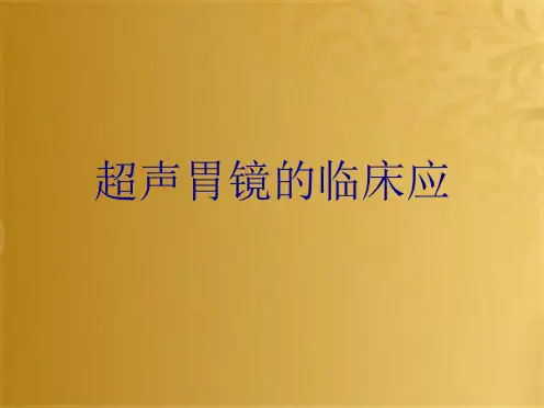 超声胃镜的临床应(共10张PPT)