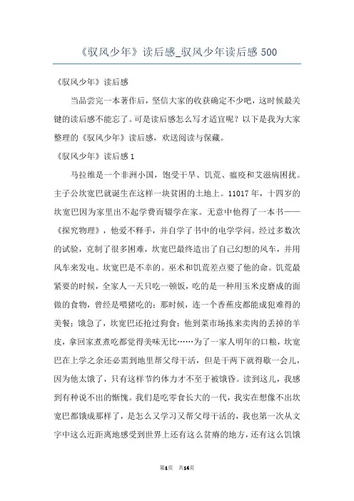 《驭风少年》读后感_驭风少年读后感500