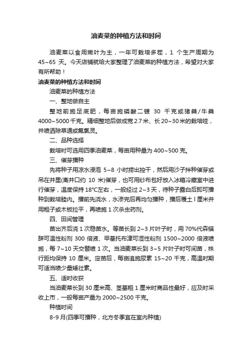 油麦菜的种植方法和时间