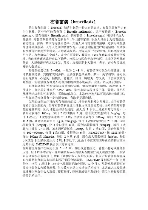 布鲁菌病