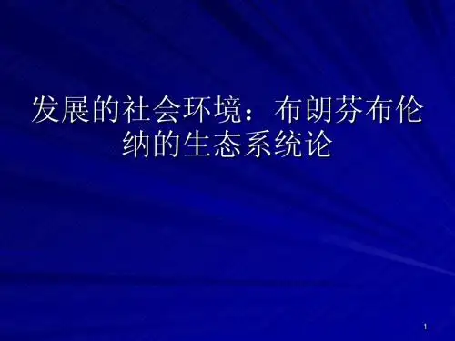 教育心理学--发展的生态社会系统