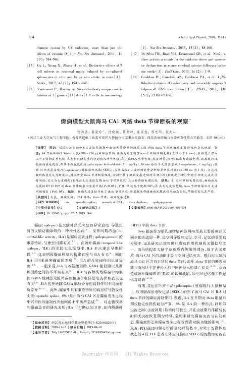 癫痫模型大鼠海马CA1网络theta节律断裂的观察
