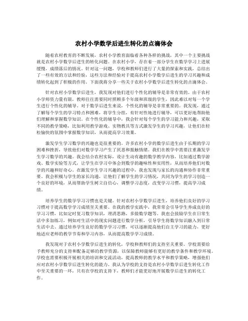 农村小学数学后进生转化的点滴体会