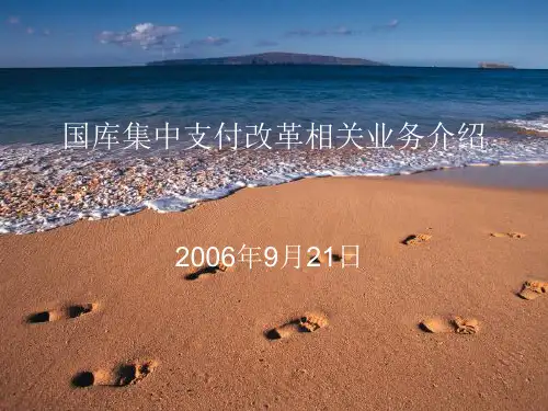 国库单一账户制度介绍