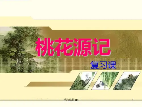 桃花源记中考复习ppt课件