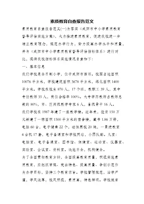 素质教育自查报告范文