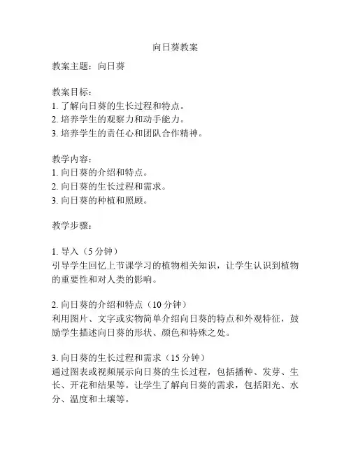 向日葵教案