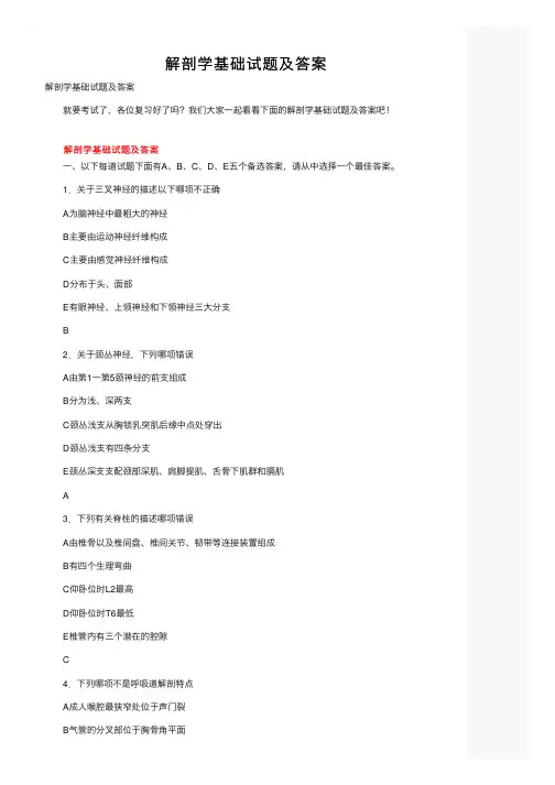 解剖学基础试题及答案