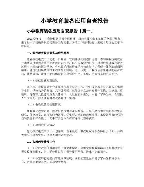 小学教育装备应用自查报告