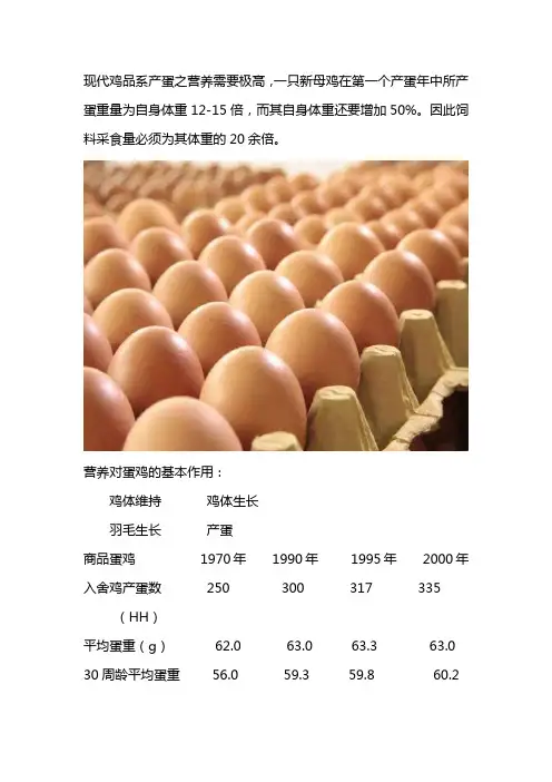 如何提高蛋鸡产蛋率