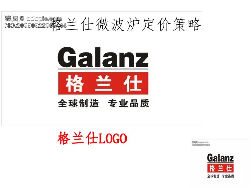 格兰仕微波炉定价策略分析