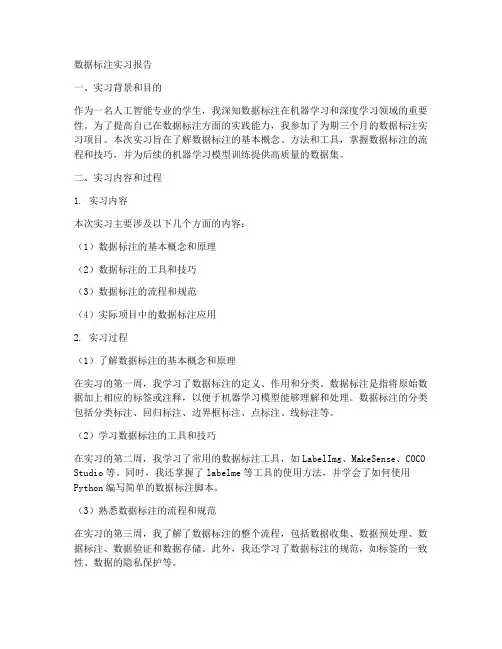 数据标注实习报告模板