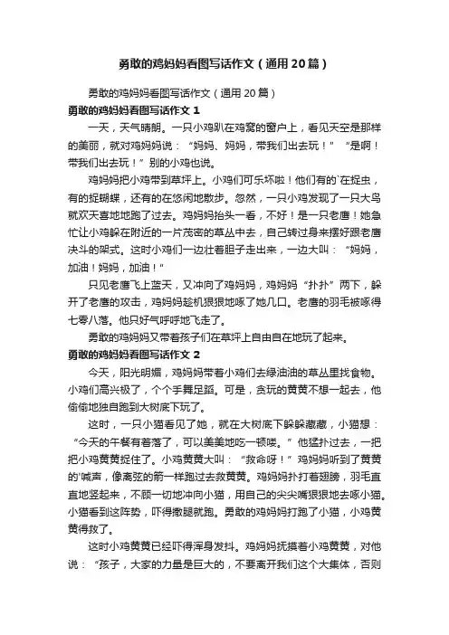 勇敢的鸡妈妈看图写话作文（通用20篇）
