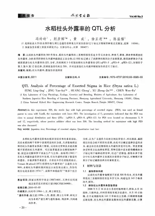 水稻柱头外露率的QTL分析