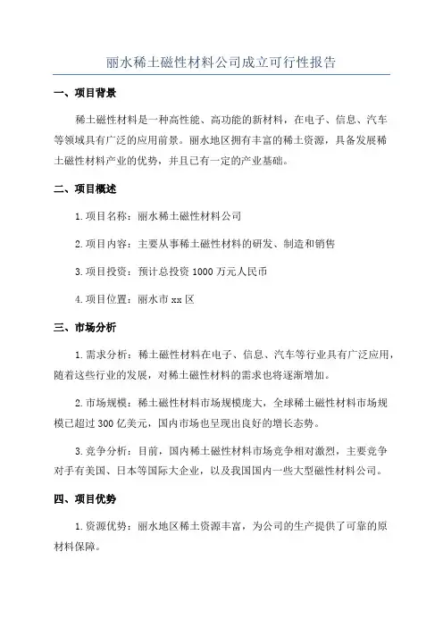 丽水稀土磁性材料公司成立可行性报告