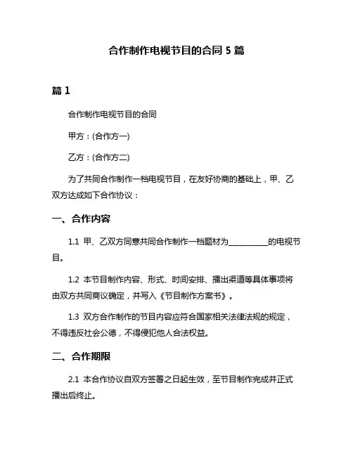 合作制作电视节目的合同5篇