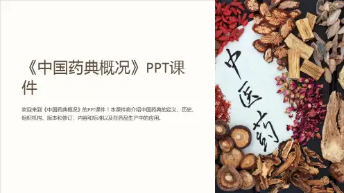 《中国药典概况》课件