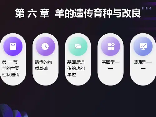 羊的遗传育种与