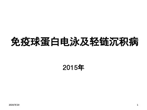蛋白电泳-轻链病PPT演示幻灯片