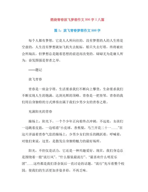 燃烧青春放飞梦想作文800字1八篇