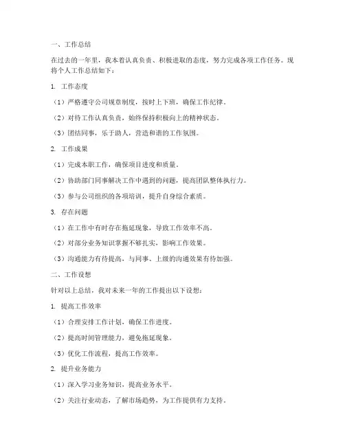 个人工作总结及工作设想