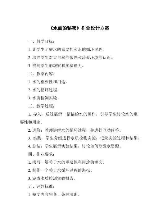 《水面的秘密作业设计方案》
