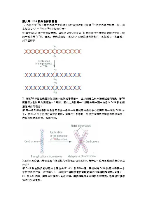 DNA和染色体的复制习题