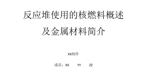 反应堆使用的核燃料概述及金属材料简介