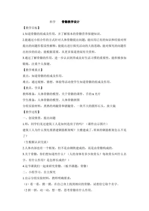科学骨骼优质课公开课教学设计教案 (3)