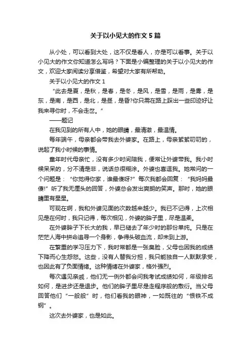 关于以小见大的作文5篇