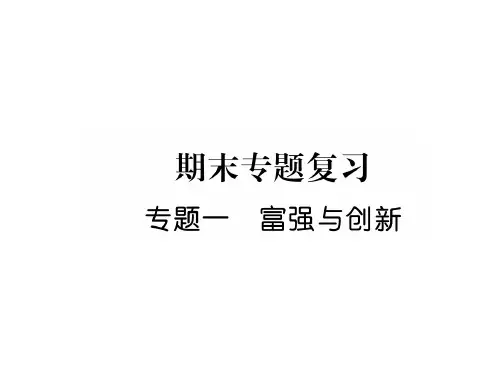 秋人教部编版九年级道德与法治上册同步作业课件：专题1 富强与创新(共30张PPT)
