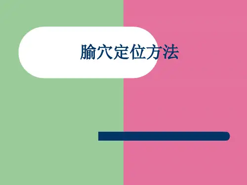中医穴位定位方法(图文)ppt课件