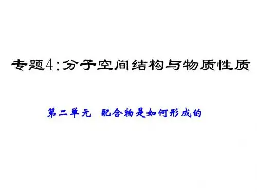 高二化学配合物是如何形成的(中学课件2019)