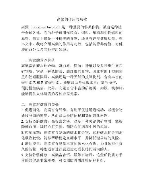 高粱的作用与功效