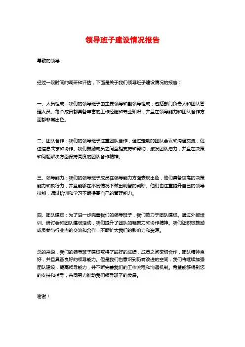 领导班子建设情况报告