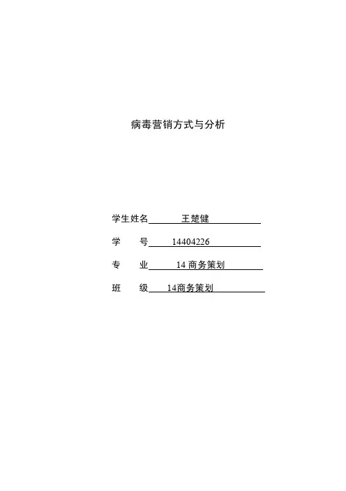 病毒营销方式与分析