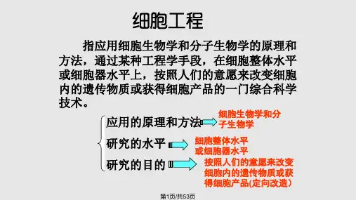 高中生物选修三专题二细胞工程PPT课件