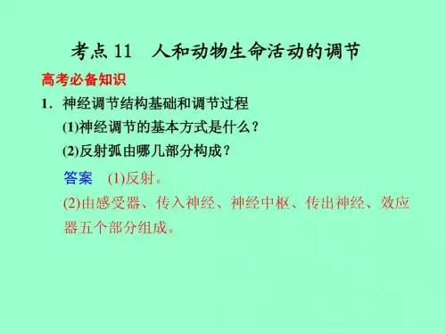 【高考生物基础回扣】考点11：人和动物生命活动的调节
