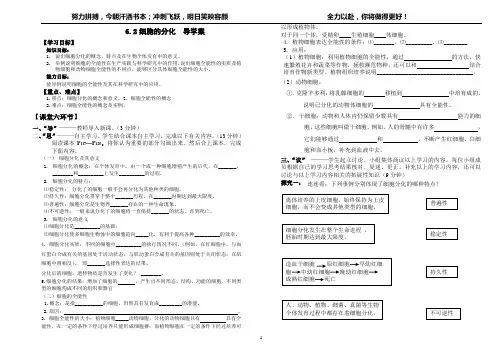 细胞的分化导学案